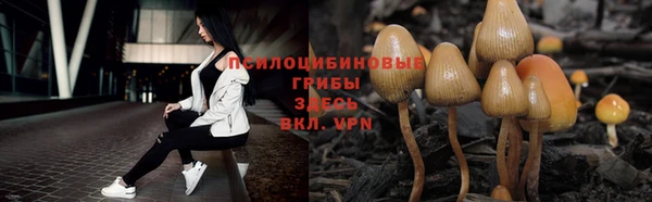 кокаин колумбия Алексин