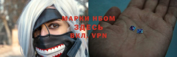 прущие грибы Алзамай