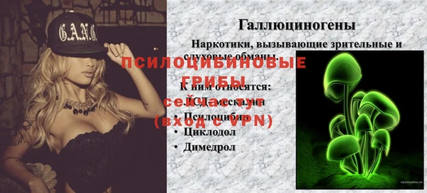 тгк Михайловск