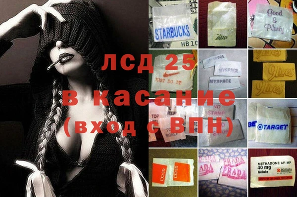 прущие грибы Алзамай