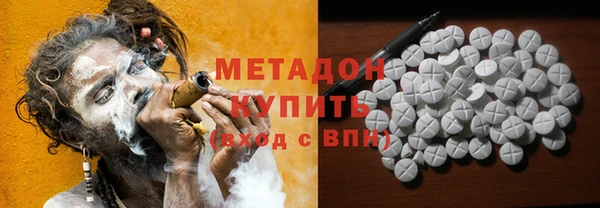 прущие грибы Алзамай
