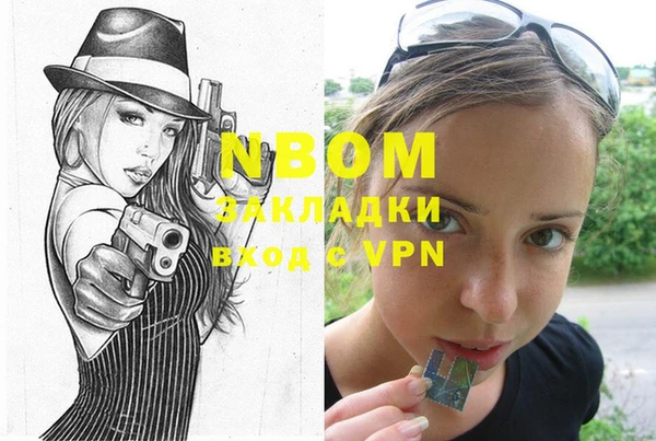 прущие грибы Алзамай