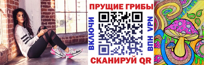 Псилоцибиновые грибы Psilocybe  Петровск 
