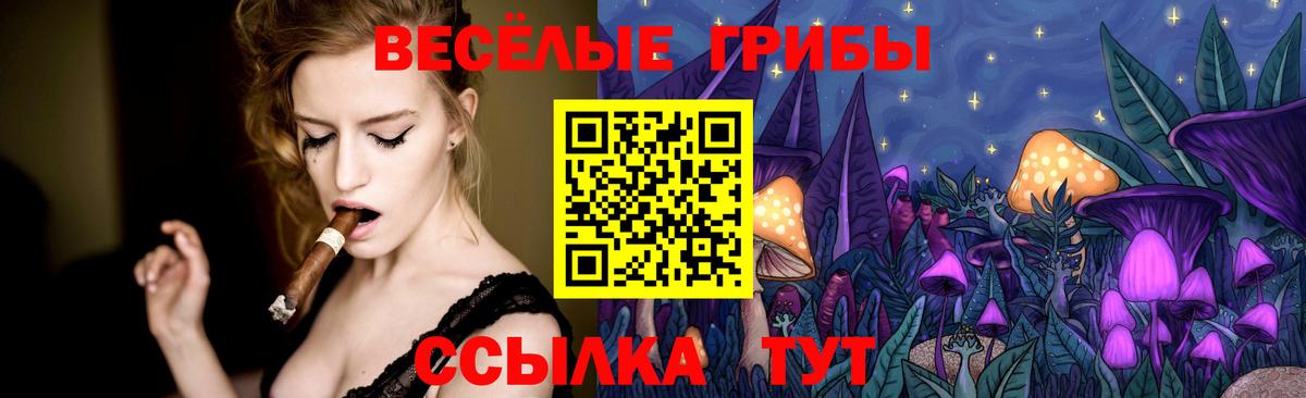 Галлюциногенные грибы Psilocybine cubensis Петровск